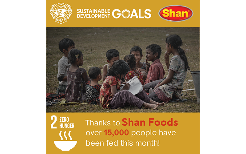 shan foods