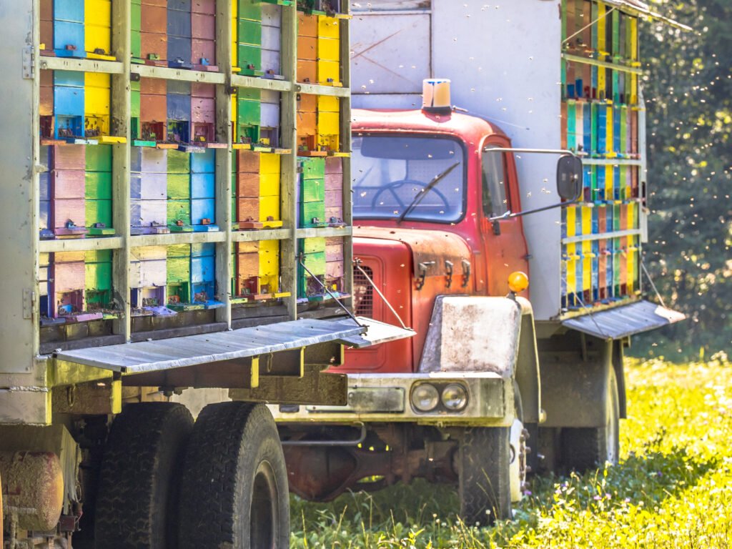 A delivery truck carrying food supplies, representing an efficient supply chain - food distribution companies in Pakistan  