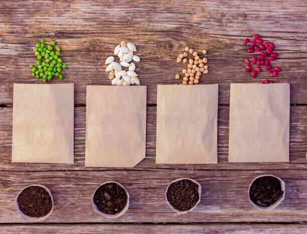 Overview of the Agriculture Sector in Pakistan